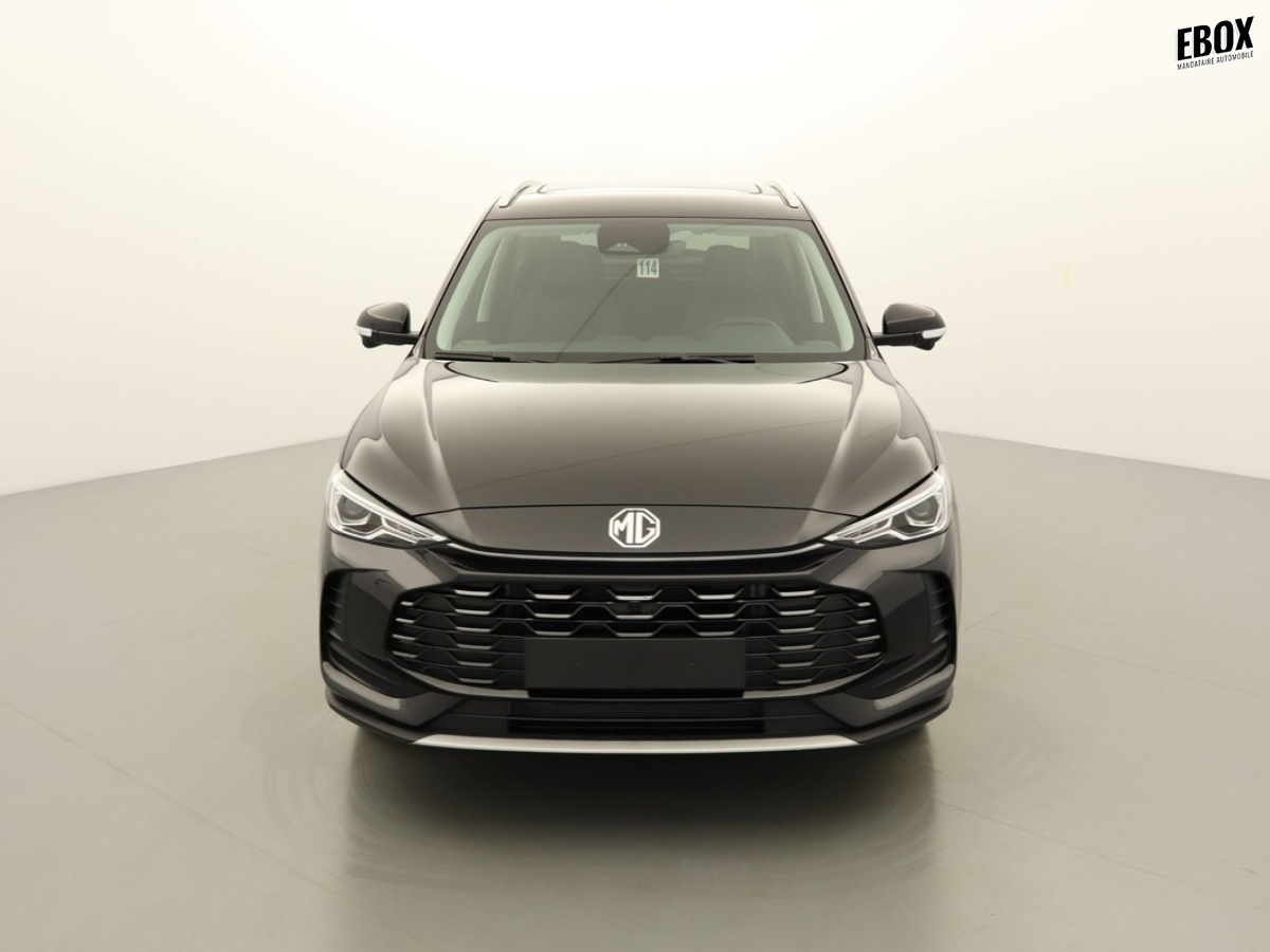 N204010_p3 - MG - ZS - 2026 - photo 3