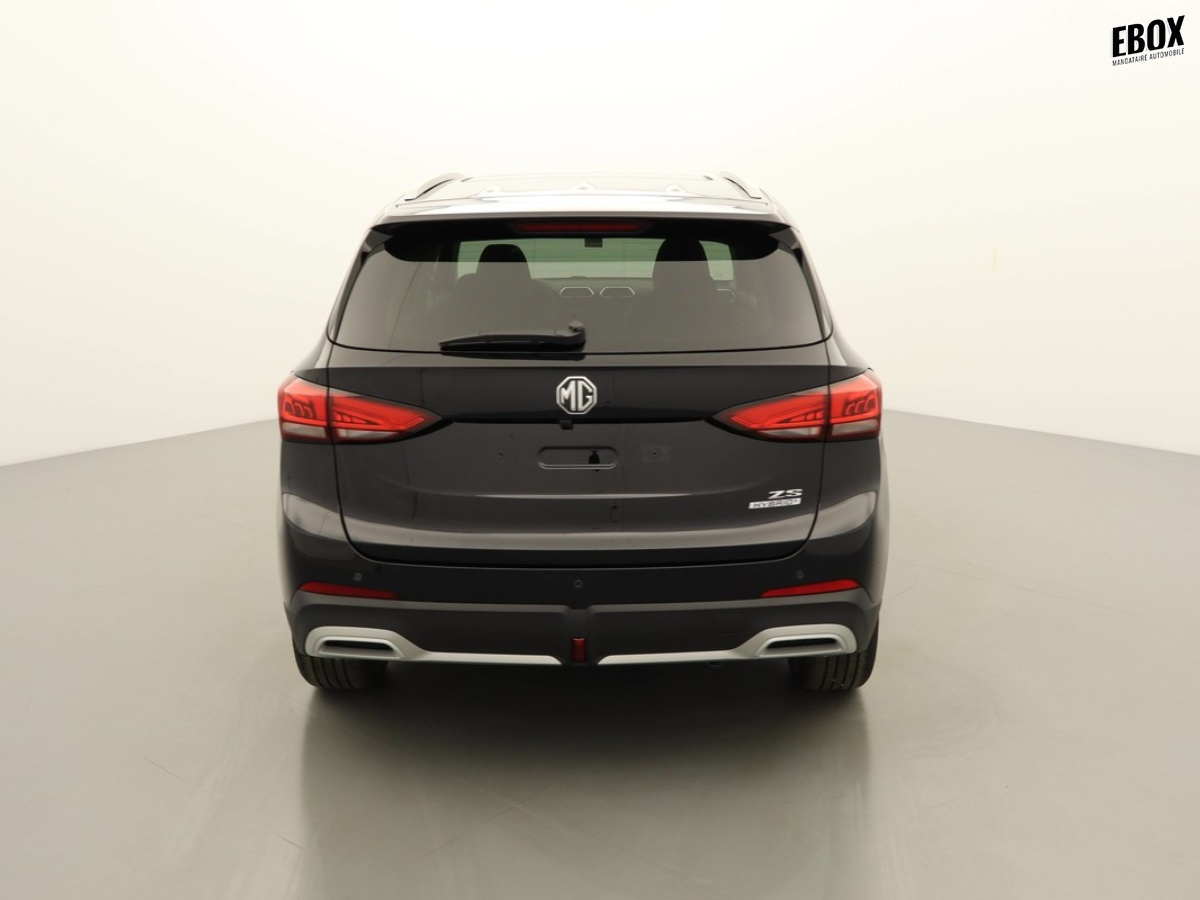 N204010_p3 - MG - ZS - 2026 - photo 5