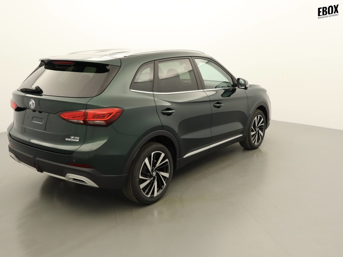 N204013_p3 - MG - ZS - 2026 - photo 2