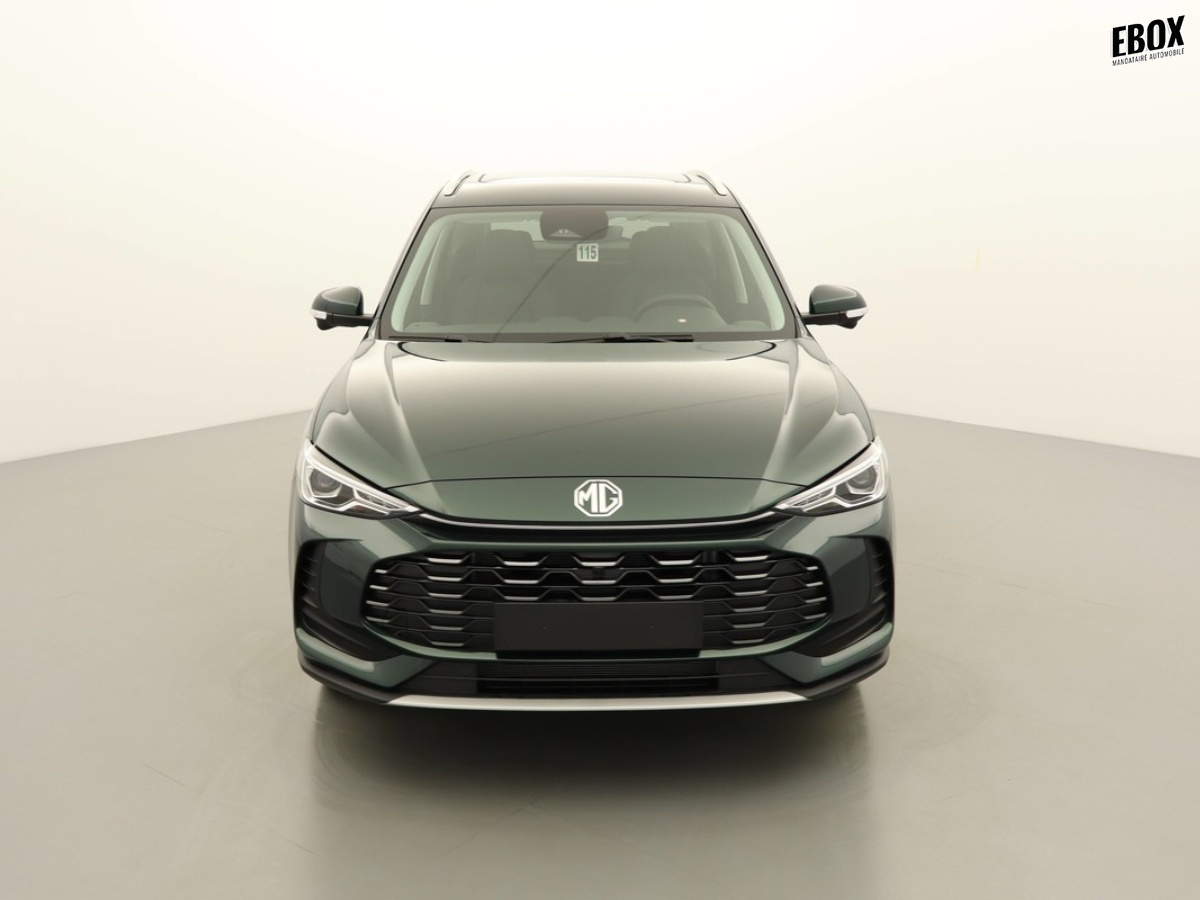 N204013_p3 - MG - ZS - 2026 - photo 3