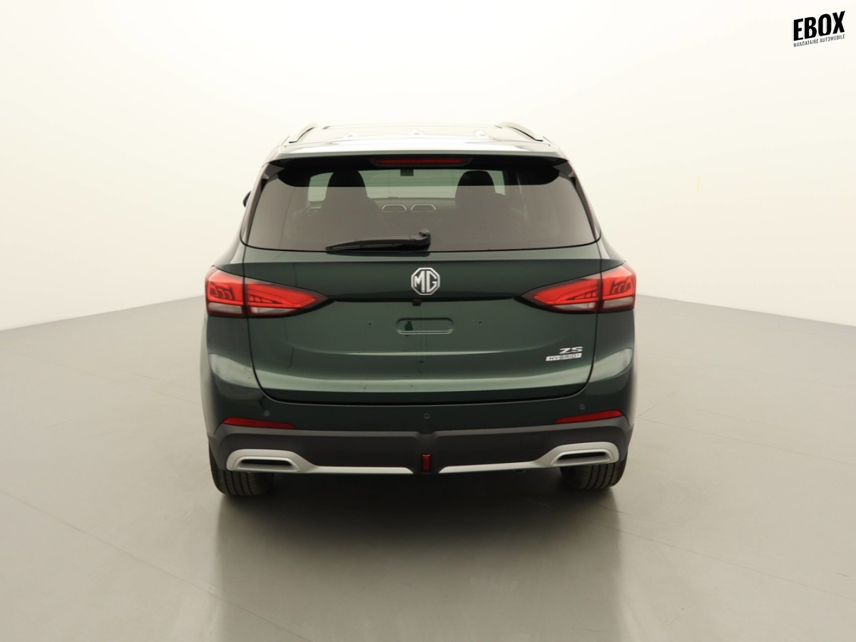N204013_p3 - MG - ZS - 2026 - photo 5